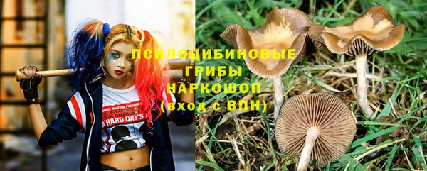 Альфа ПВП Балахна